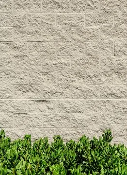 Split Face Titanium Buff Block Wall and Shrubs Stock Photos