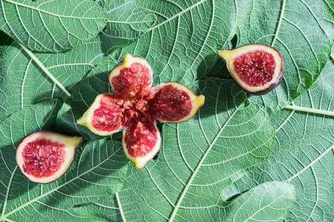 Split figs on a surface of fig leaves. Stock Photos