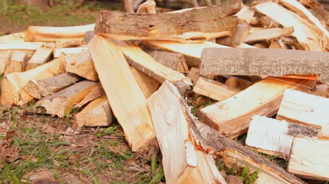 Split firewood on the grass Stock Footage 47836871