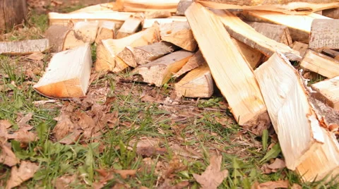 Split firewood on the grass Stock Footage 47837082
