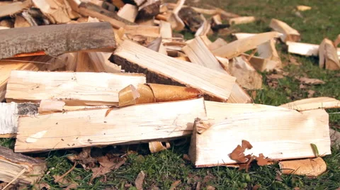 Split firewood on the grass Stock Footage 47837258