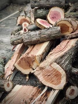 Split Firewood Log Pile Stock Photos