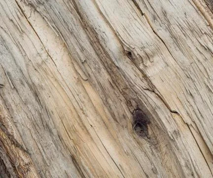 Split of firewood, rough texture of the surface, background, knots. Stock Photos