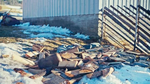 Split Firewood Scattered in Outdoor Yard Видео 347689647