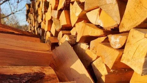 Split firewood stacked in golden sunlight, showing dry cut logs, rough bark Stock Footage 336213486
