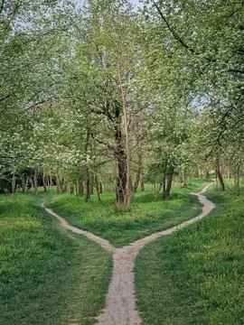 Split footpath in the forest, choosing the right way concept. Idyllic sprin.. Stock Photos