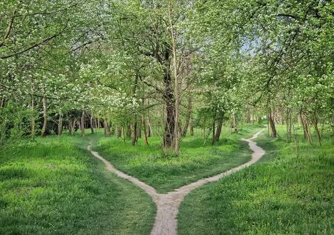 Split footpath in the forest, choosing the right way concept. Idyllic sprin.. Stock Photos