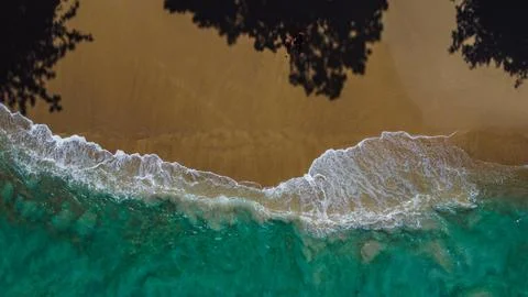 Split Frame Coastal Landscape Showing Boundary Between Dark Forest Shadow Stock Photos