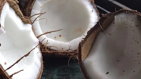 Split fresh coconuts showing their brown, fibrous husks and thick white meat. Th Stock Footage 336792812