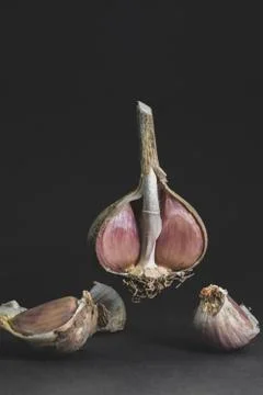 Split in half garlic head floating on black background Stock Photos
