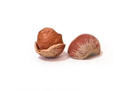 Split hazelnut, kernel and shell isolated on white background Foto stock