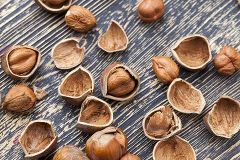 Split hazelnuts on the table 库存照片