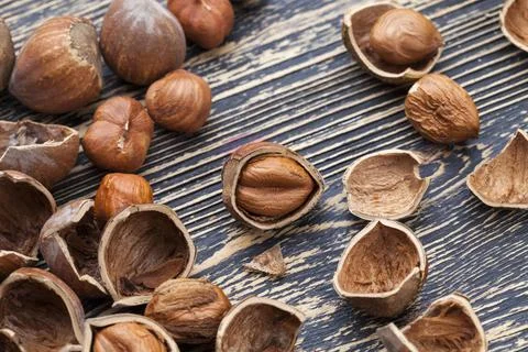 Split hazelnuts on the table 写真素材