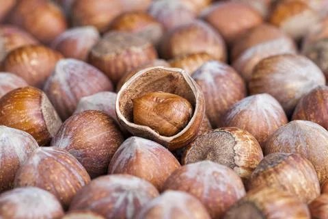 Split hazelnuts on the table Stockfoto's