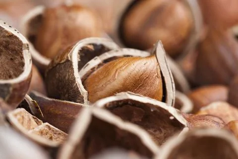 Split hazelnuts on the table Foto stock
