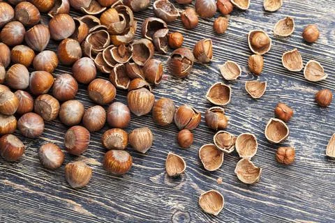Split hazelnuts on the table 写真素材