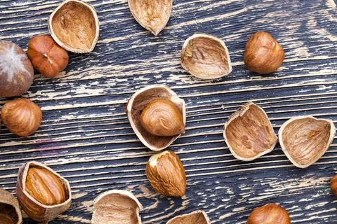 Split hazelnuts on the table 库存照片