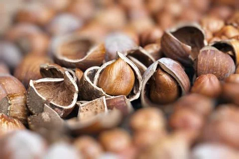 Split hazelnuts on the table Foto stock