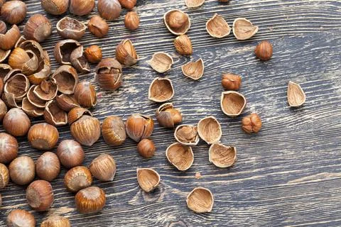 Split hazelnuts on the table 写真素材