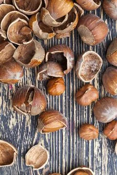 Split hazelnuts on the table Foto stock