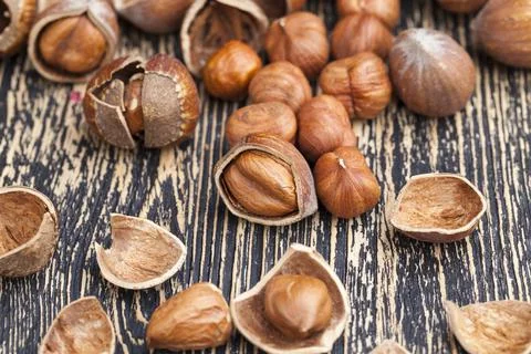 Split hazelnuts on the table 写真素材