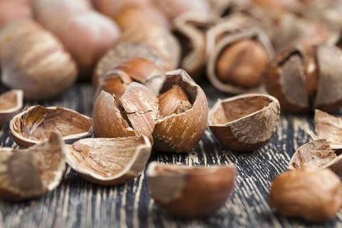 Split hazelnuts on the table Foto stock