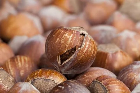 Split hazelnuts on the table Stock Photos