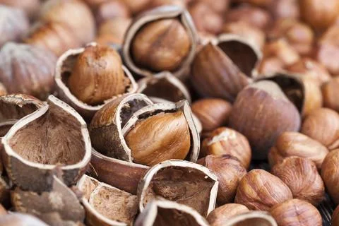 Split hazelnuts on the table Foto stock