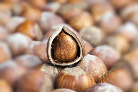 Split hazelnuts on the table Foto stock