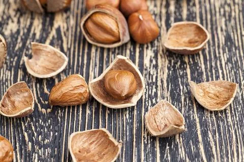 Split hazelnuts on the table 写真素材