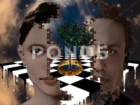 Split Stock Illustration