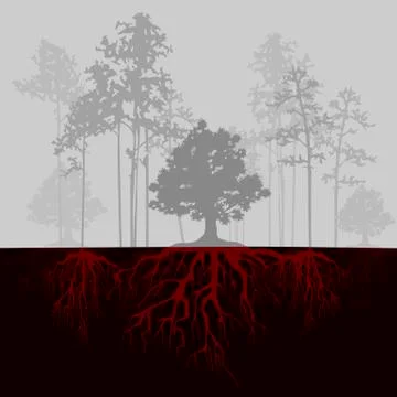 Split illustration with trees and red roots. Fog in forest Stock Illustration