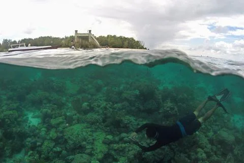 Split Image of Island and a diver Foto stock