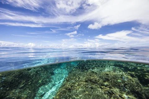 Split level ocean view, Lady Elliot Island, Queensland, Australia Foto stock