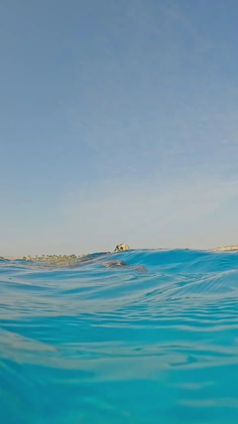 Split level, Sea Turtle drifts on waves in turquoise water, looks at them Video stock 331804146