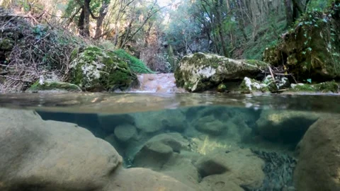Split Level Underwater Perspective of Rocky Riverbed and Small Cascade in Video stock 325771108