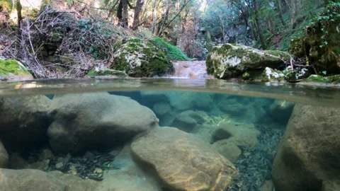 Split Level Underwater Shot of Small Waterfall Cascade in Forest River Video stock 325771158