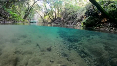 Split Level Underwater View of Crystal Clear River Stream in Kiprianades Forest Video stock 325771084