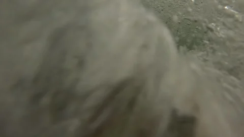 Split level, Underwater view of sea waves on a pebble bottom in the surf zone, Video stock 328234184