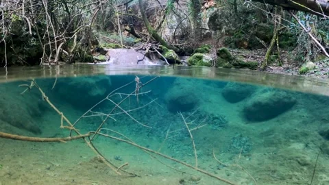 Split Level Underwater View of Submerged Tree Branches in Turquoise River Pool Video stock 325771073