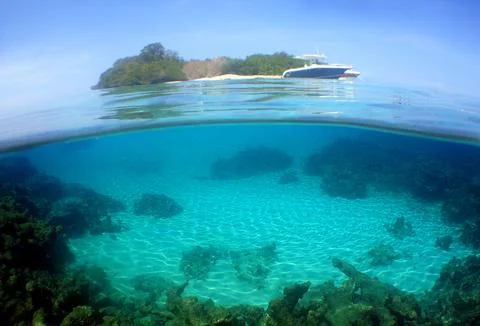 Split Level Underwater View of Tropical Island and Coral Reef in the Caribbea Foto stock
