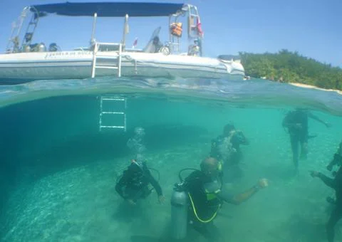 Split Level View of Scuba Diving Course in Crystal Clear Caribbean Sea Stock Photos