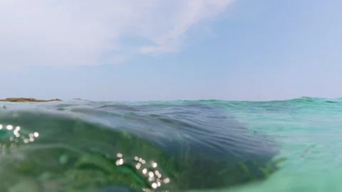 Split-level view of the sea with underwater vegetation and the ocean surface Stock Footage 313842212
