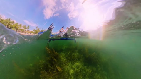 Split Level View Showing People Sitting On Paddle Board Above Water And Seaweed Video stock 328595769