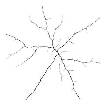 Split lines in the concrete or large fissures in the wall on a white background. 스톡 일러스트