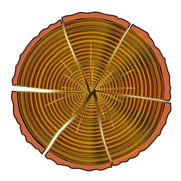 Split Log End Section Stock Illustration