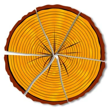Split Log Stock Illustration