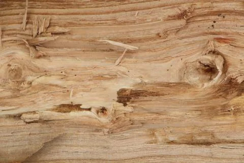 Split log Stock Photos