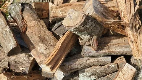Split logs in a firewood pile 스톡 사진