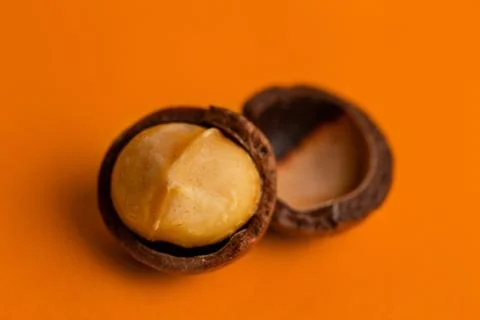 Split macadamia nut close-up on an orange background 库存照片